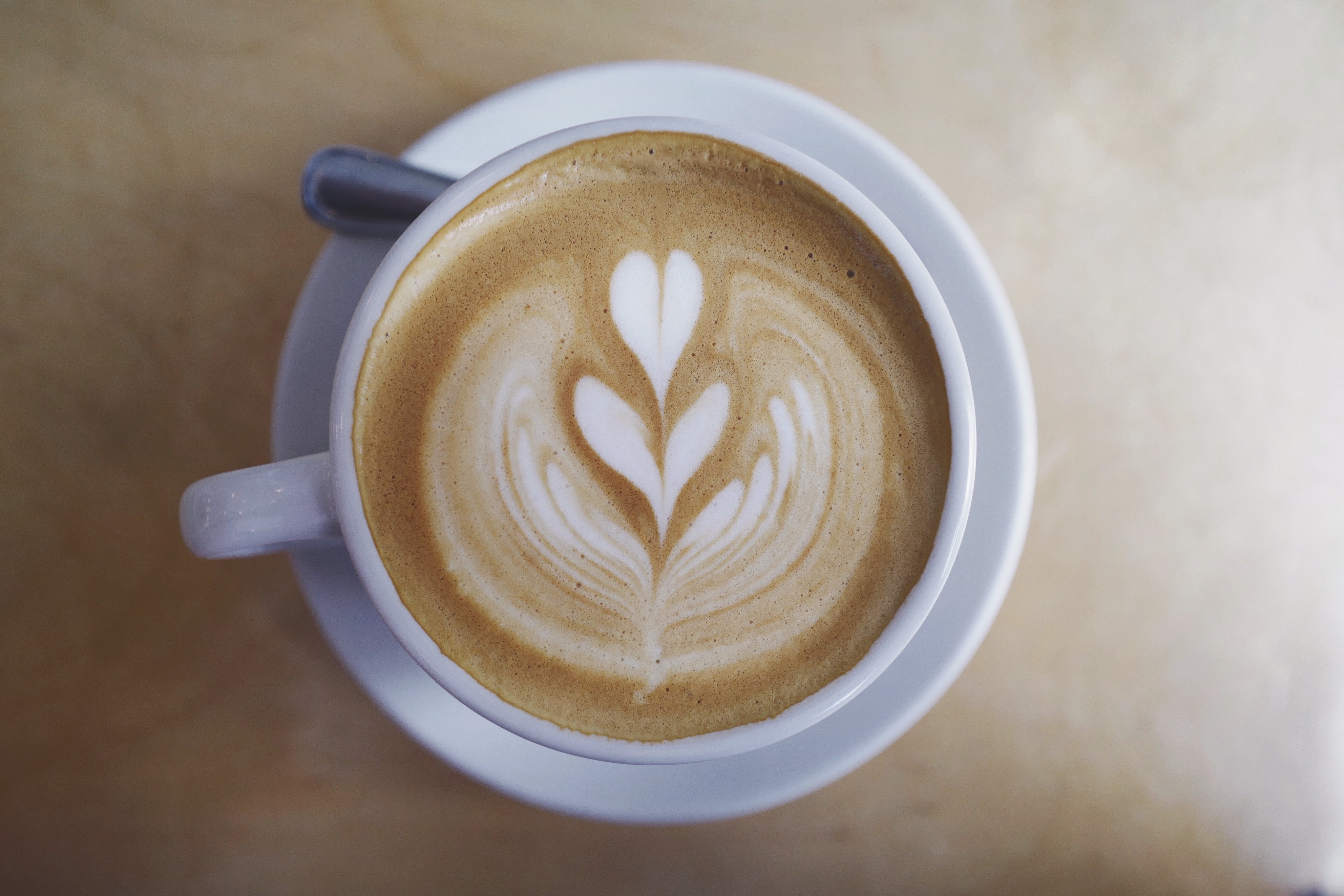 La temperatura ideal a la que poner la vitrocerámica para preparar un café  perfecto